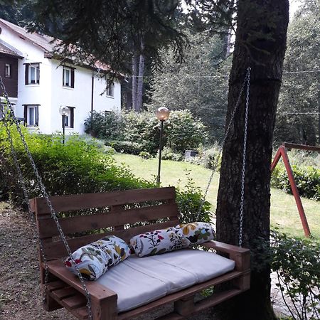 Villa Sveti Dimitar Borovets Exterior foto
