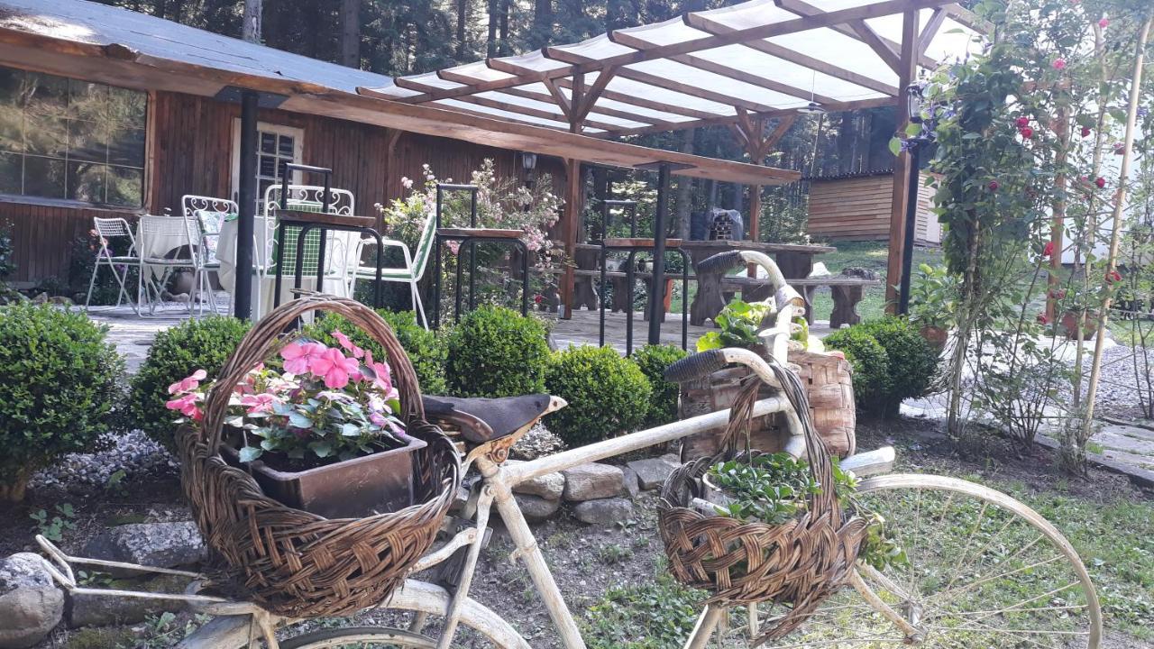 Villa Sveti Dimitar Borovets Exterior foto