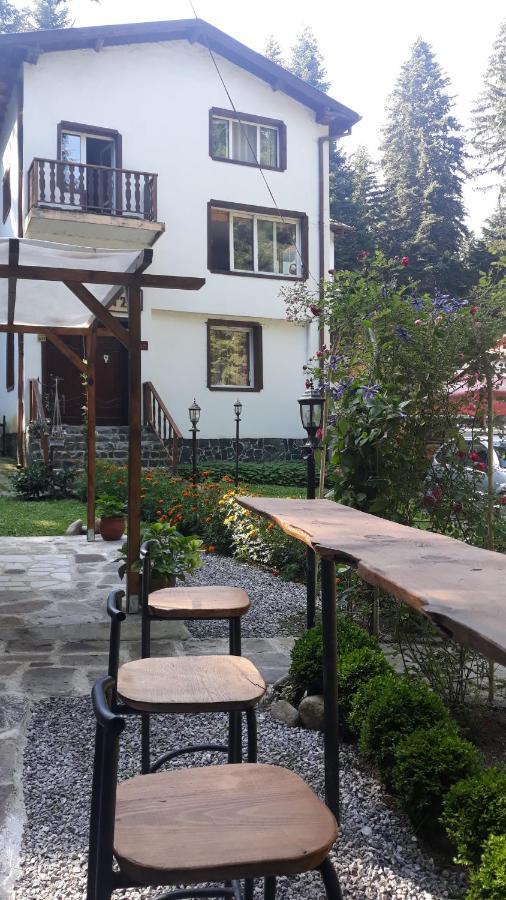 Villa Sveti Dimitar Borovets Exterior foto