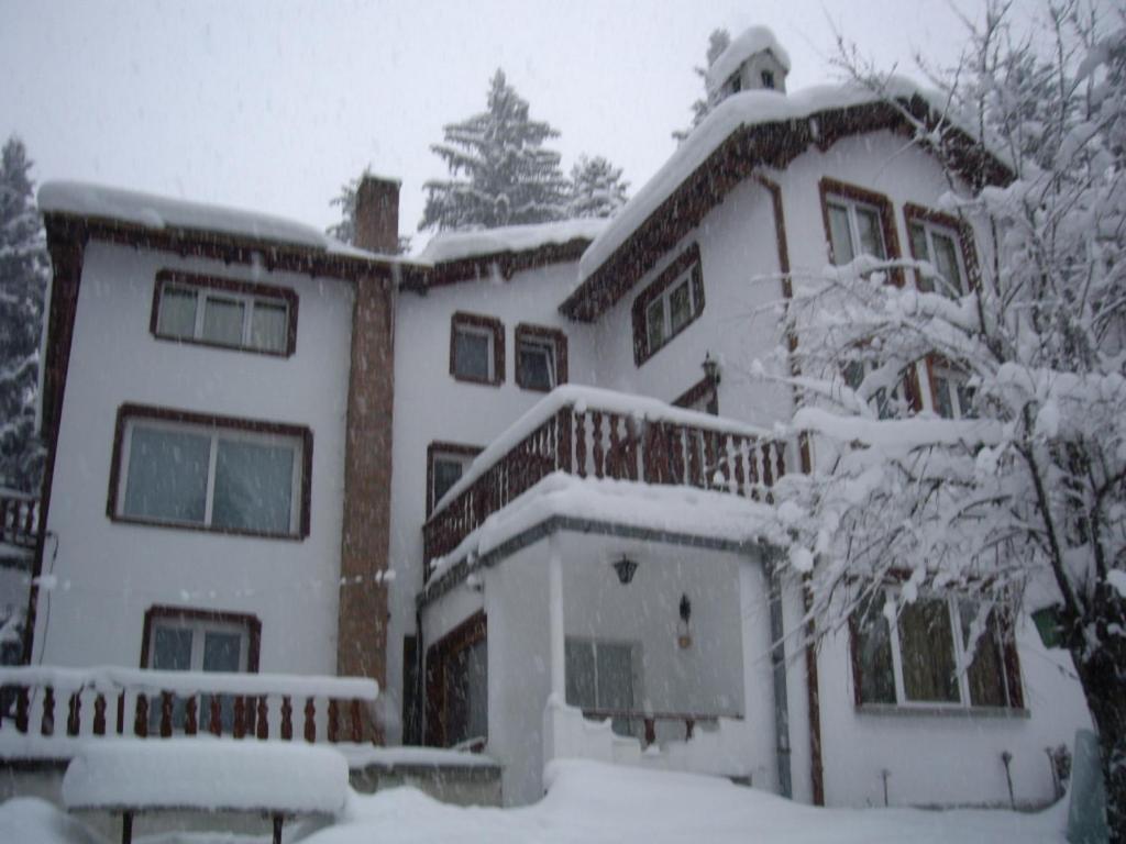 Villa Sveti Dimitar Borovets Exterior foto
