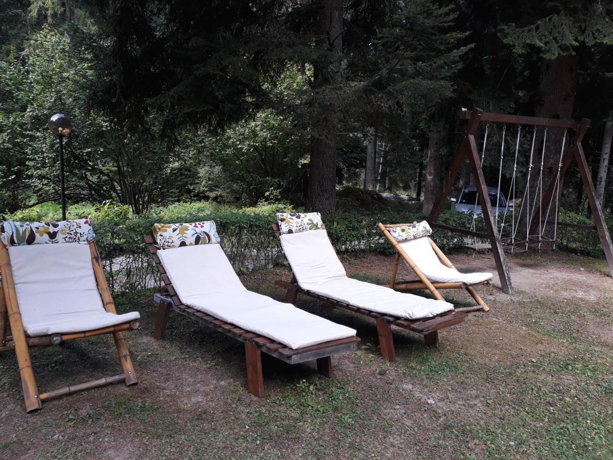 Villa Sveti Dimitar Borovets Exterior foto
